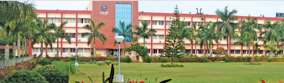 Institute of Minerals & Materials Technology 